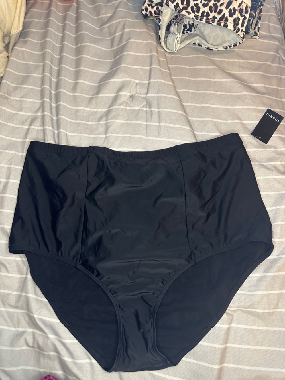 torrid Black High-Rise Bikini Brief